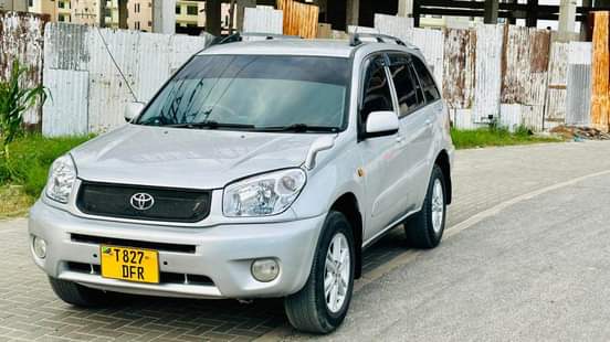 A picture of RAV4