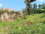 A picture of 4PLOTS WITH LAND TITLE ON QUICK SALE 5M PER PLOT