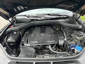 A picture of 101 Pure First Body and 4 Months Registered 2015 On