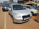 A picture of Vitz