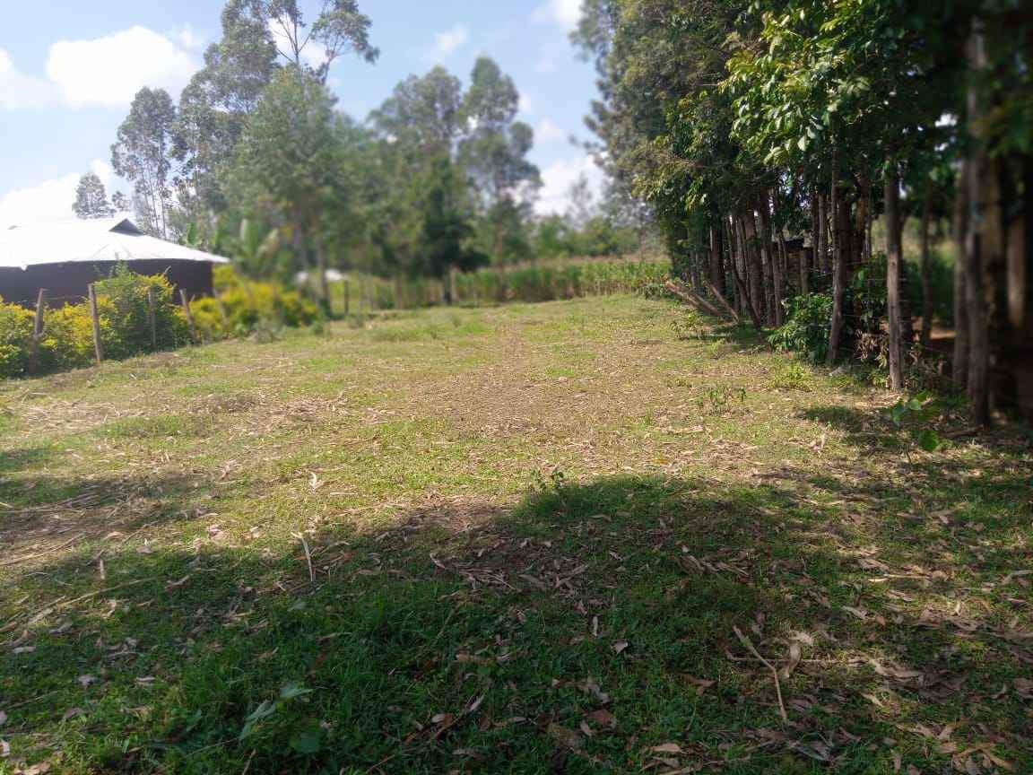 Lands &.