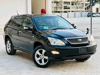 A picture of Gari