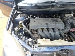 A picture of AMAZING PROMO PRICE Just 3 5m TOKS STANDARD GRADE A