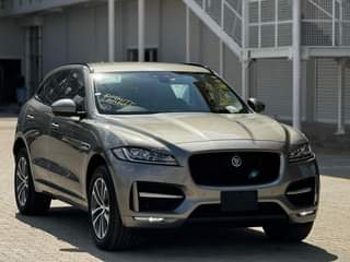 A picture of Jaguars