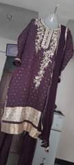 A picture of Indian dress zipo sale