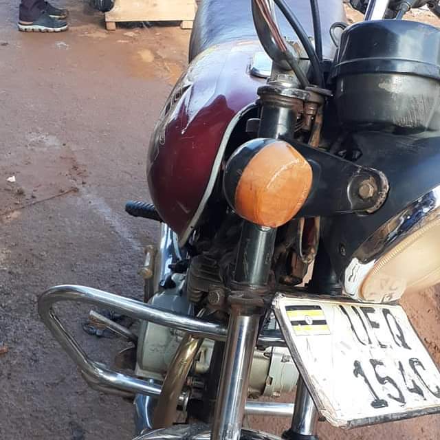 A picture of Boxer 100cc