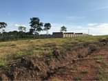 A picture of Kakiri