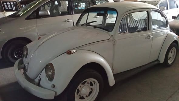 vw beetle