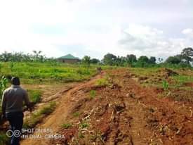 A picture of Plots on sale located at matugga gombe along matugga semuto