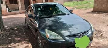 A picture of Available Seriously buyers only You can contact me on this