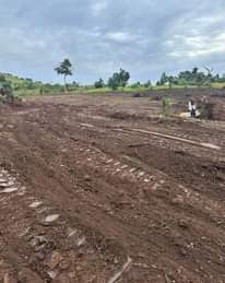 A picture of 50X100FT PLOTS FOR SALE