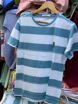 A picture of T shirt