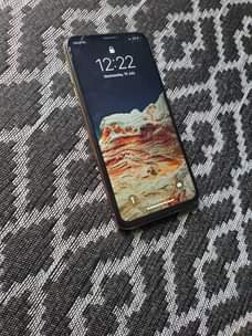 A picture of Xs Max