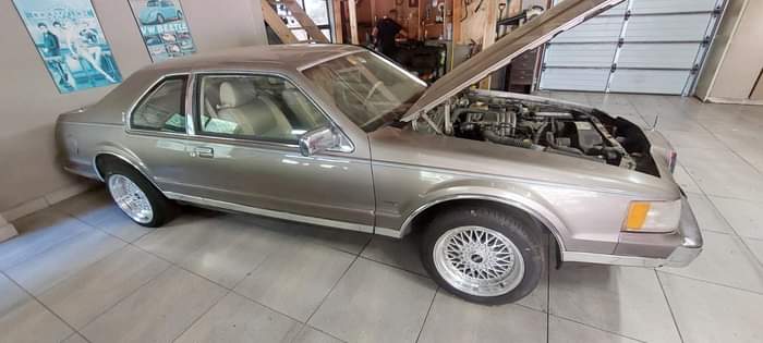 Classic,Muscle A.