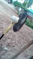 A picture of Feni ya Aniko