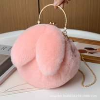 A picture of Pochi