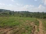 A picture of Land