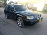A picture of Subaru forester