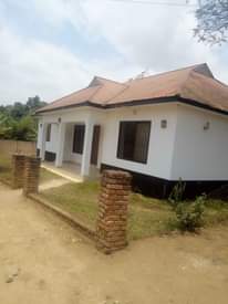 A picture of selfu 0711996602