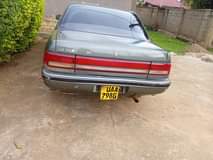 Paul S.