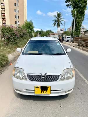 used toyota runx