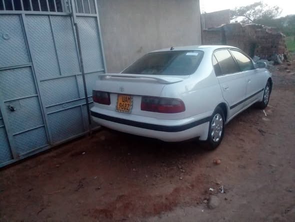 toyota corona