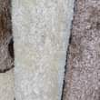 A picture of Fluffy center carpets in different colours and sizes