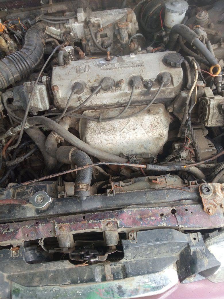 A picture of Honda Accord