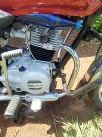 A picture of Boxer100
