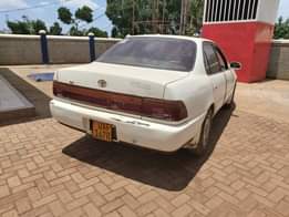 A picture of Corsa at 4.8m Carlbu at 3.7m Kikumi manual at 4.5m