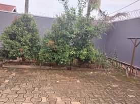 A picture of Flat house for sell in Bweyogerere next to UNBS headquaters