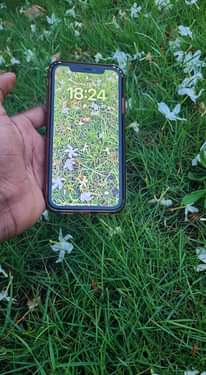 A picture of Iphone 11 Plain