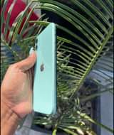 A picture of iPhone 11 no Face ID