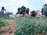 A picture of GOOD DEAL 25Decimals for sale in NAMUGONGO SONDE TOWN just