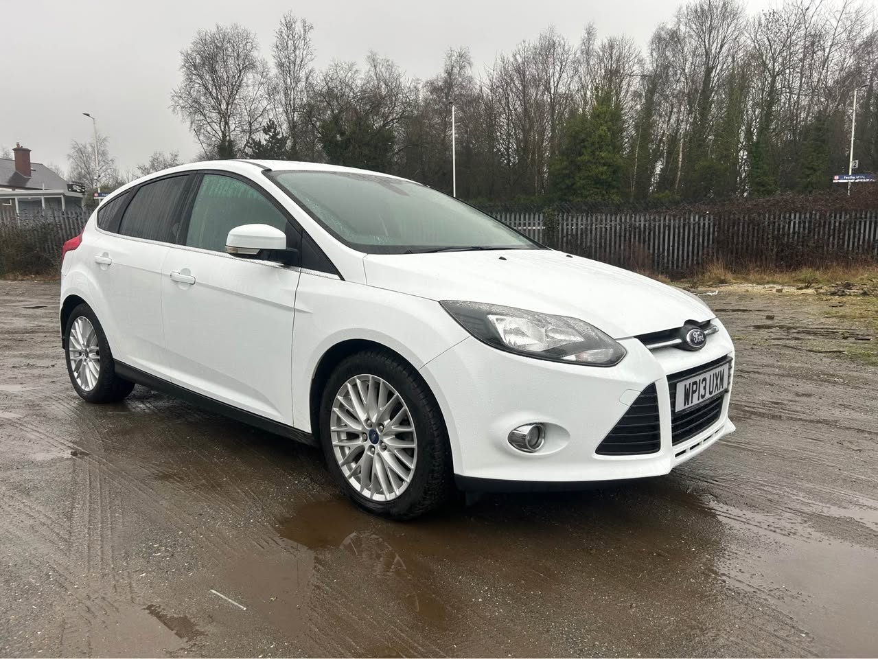 ford zetec