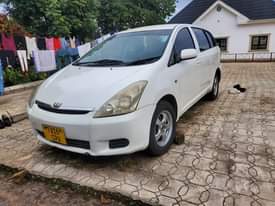 A picture of wish 0767410504
