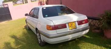 A picture of Premio