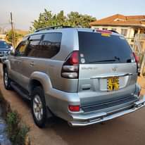A picture of TX 2006 75M