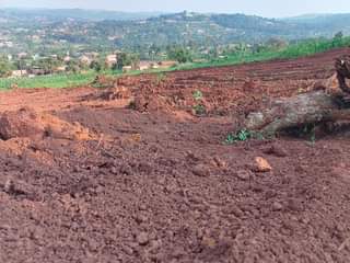 A picture of Quick sale plots for sale in katende 0756637649