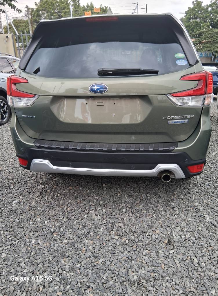 A picture of Subaru hybrid 2019