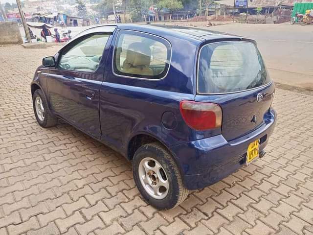 A picture of Vitz