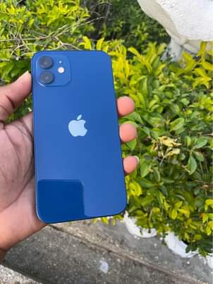 iPhone M.