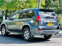 A picture of Prado Tx new model