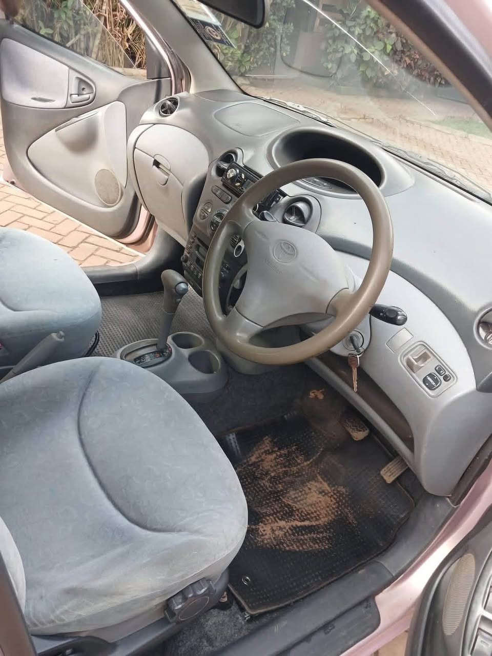 A picture of Vitz