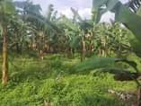 A picture of Land