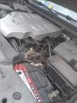 A picture of Car