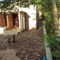 A picture of Nyumba inauzwa mbez malamba