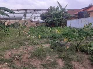 kinyinya accommodation