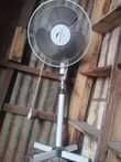 A picture of Godoro meza na feni