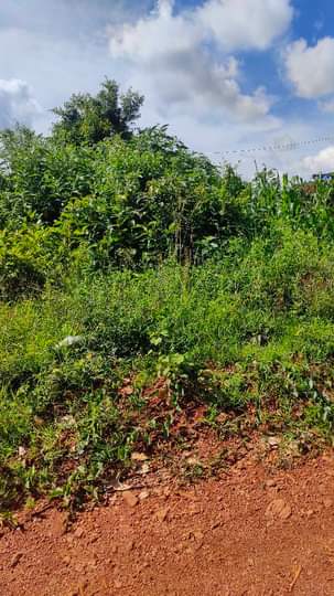 A picture of land for sale in wakiso 26 decimals